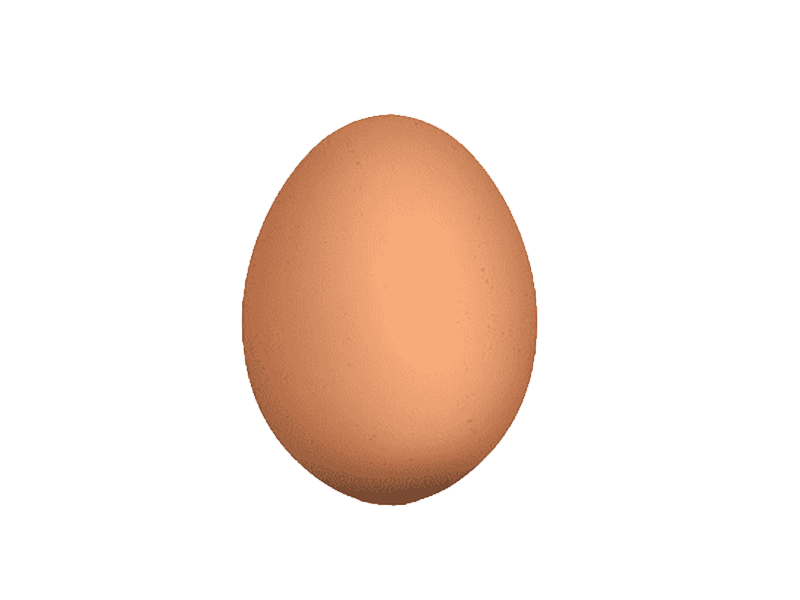 egg
